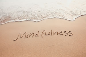 Mindfulness Classes and Courses