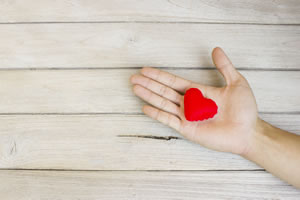 Mindfulness Teacher Supervision